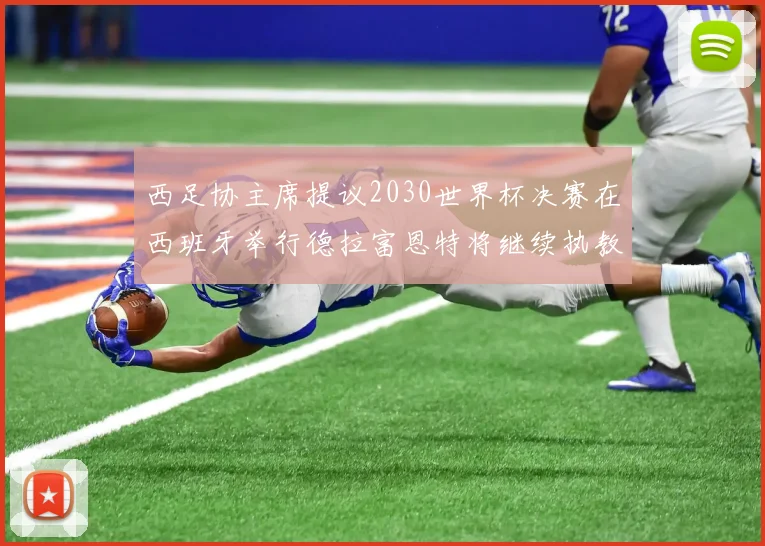 西足协主席提议2030世界杯决赛在西班牙举行德拉富恩特将继续执教国家队